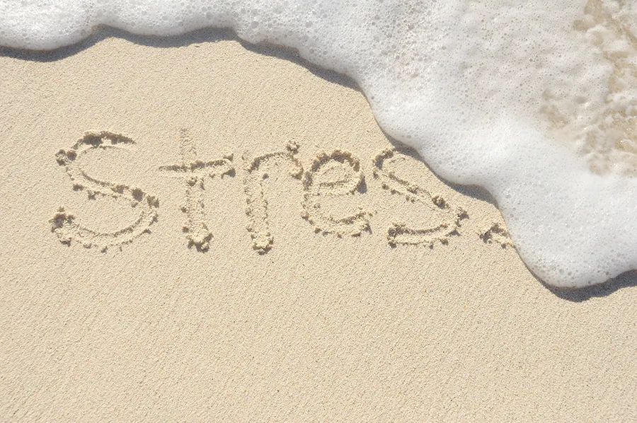 The Stillpoint Technique: Why Deep Stillness May Be the Nervous System Reset We’re Missing — article artwork from Active Balance Healing.