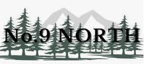 No9 North Clinic logo.