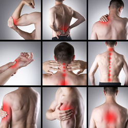 "Collage of images showing various body parts with red areas indicating arthritis and joint pain"